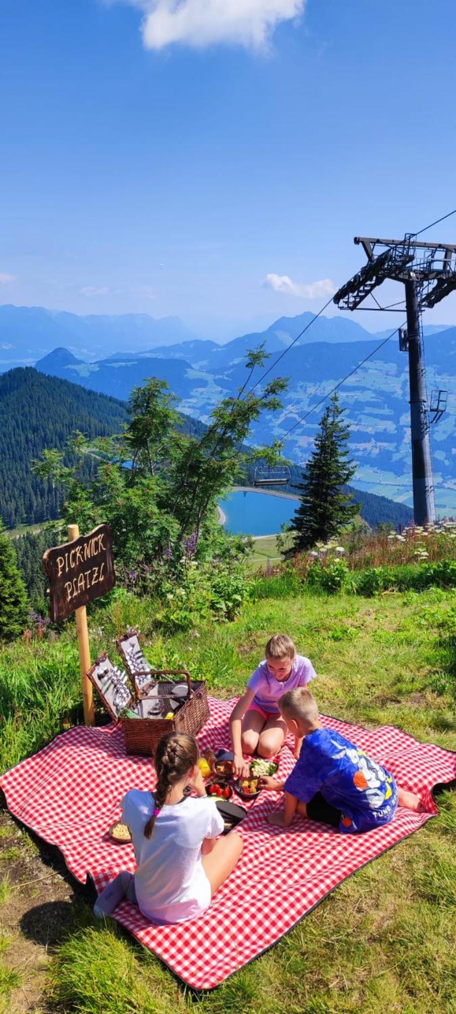 Landhaus Katharina Bis 12 Personen Mit Saunachalet Und Blick Auf Die Bergwelt Des Zillertals Hippach Eksteriør billede